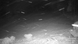 Běžecký lyžařský areál Nová Ves