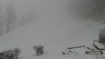 Chata Myslivna SKP Olomouc