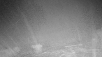 Chata Myslivna SKP Olomouc