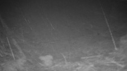 Běžecký lyžařský areál Nová Ves