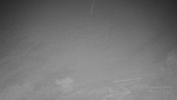 Chata Myslivna SKP Olomouc