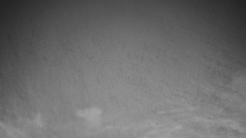 Chata Myslivna SKP Olomouc