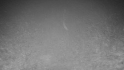 Běžecký lyžařský areál Nová Ves