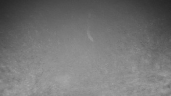 Chata Myslivna SKP Olomouc