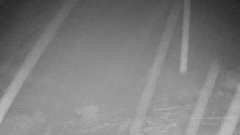 Chata Myslivna SKP Olomouc