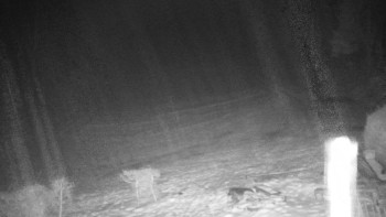 Chata Myslivna SKP Olomouc