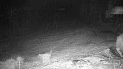 Běžecký lyžařský areál Nová Ves