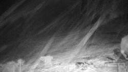 Běžecký lyžařský areál Nová Ves