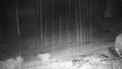 Běžecký lyžařský areál Nová Ves