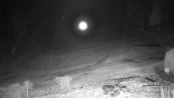 Běžecký lyžařský areál Nová Ves