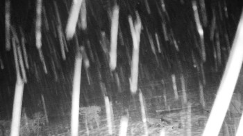 Chata Myslivna SKP Olomouc