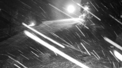 Běžecký lyžařský areál Nová Ves