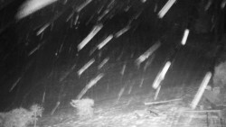 Běžecký lyžařský areál Nová Ves