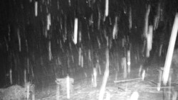 Běžecký lyžařský areál Nová Ves