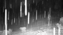 Běžecký lyžařský areál Nová Ves