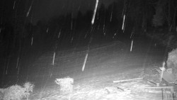 Běžecký lyžařský areál Nová Ves