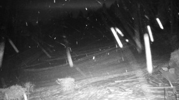 Chata Myslivna SKP Olomouc