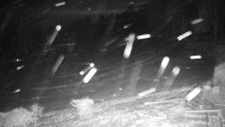 Běžecký lyžařský areál Nová Ves