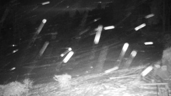 Chata Myslivna SKP Olomouc