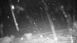 Běžecký lyžařský areál Nová Ves