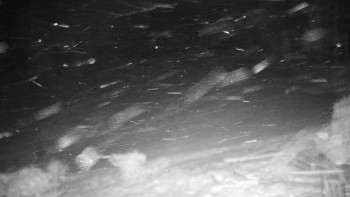 Chata Myslivna SKP Olomouc