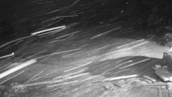 Běžecký lyžařský areál Nová Ves