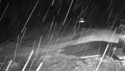 Běžecký lyžařský areál Nová Ves