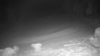 Chata Myslivna SKP Olomouc