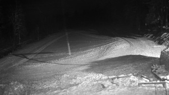 Chata Myslivna SKP Olomouc