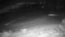 Běžecký lyžařský areál Nová Ves