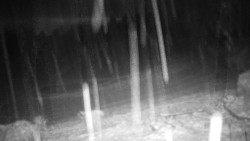 Běžecký lyžařský areál Nová Ves