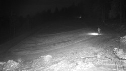 Běžecký lyžařský areál Nová Ves