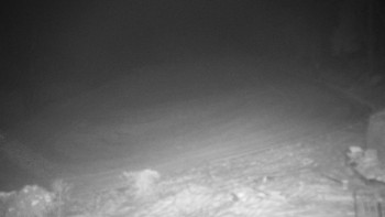 Chata Myslivna SKP Olomouc