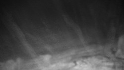 Běžecký lyžařský areál Nová Ves