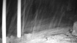 Běžecký lyžařský areál Nová Ves