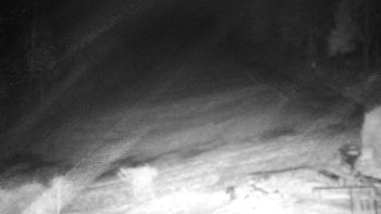 Chata Myslivna SKP Olomouc