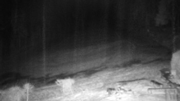 Chata Myslivna SKP Olomouc