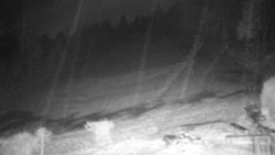 Běžecký lyžařský areál Nová Ves