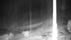 Běžecký lyžařský areál Nová Ves