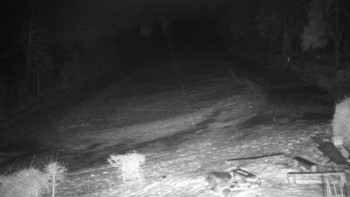 Chata Myslivna SKP Olomouc