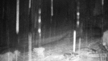 Chata Myslivna SKP Olomouc