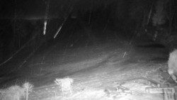 Běžecký lyžařský areál Nová Ves