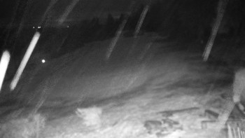 Chata Myslivna SKP Olomouc