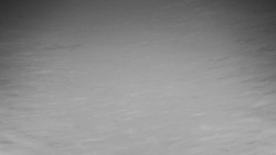 Běžecký lyžařský areál Nová Ves