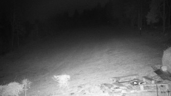 Chata Myslivna SKP Olomouc