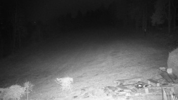 Chata Myslivna SKP Olomouc