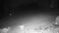 Běžecký lyžařský areál Nová Ves