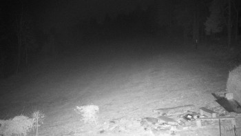 Chata Myslivna SKP Olomouc