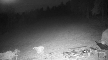 Chata Myslivna SKP Olomouc