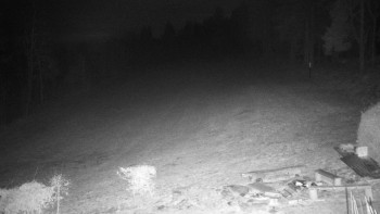 Chata Myslivna SKP Olomouc